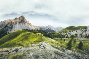 Przygotuj biznes na wyzwania EUDR w branży rozrywkowej: Kluczowe strategie na nadchodzące zmiany