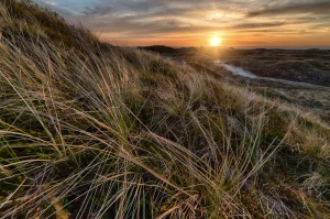 Ochrona środowiska w firmie: Klucz do zrównoważonego rozwoju i sukcesu biznesowego