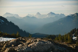 Przygotuj biznes na wyzwania EUDR w branży prawnej: Kluczowe strategie i najlepsze praktyki